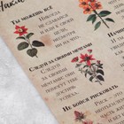 Наклейки для ежедневника «Ботаника», калька, 13 х 18 см - Фото 2