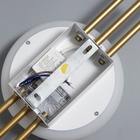 Бра "Нова" LED 3000К-6000К золото 52х16,5х16,5см 9802064 - фото 12162692