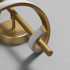 Бра "Завиток" LED 3000К золото 40х12х12см - фото 24002032