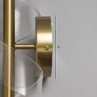 Бра "Спираль" LED 3000К золото 30х13х13см - фото 23978466