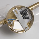 Бра "Спираль" LED 3000К золото 30х13х13см - фото 23978467