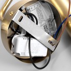 Бра «Гелла» LED 6 Вт 3000К латунь 4×4×30 см - фото 5019294