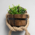 Бра "Бочонок" 2хЕ27 40Вт черный 24х24х15 см - фото 23978567