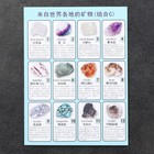 Коллекция сувенирных минералов «Магия», набор 12 шт. - Фото 5