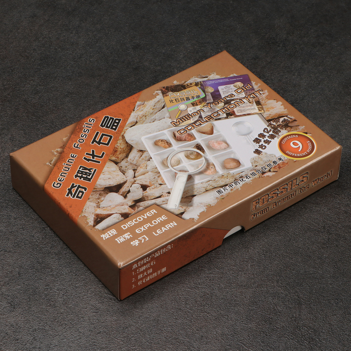 Набор камней коллекционных сувенирных «Аммониты» - Фото 1