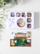 Набор камней коллекционных сувенирных «Аммониты» - Фото 1