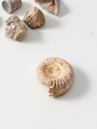 Набор камней коллекционных сувенирных «Аммониты» - Фото 4