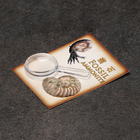 Набор коллекционный сувенирный «Аммониты» - Фото 2