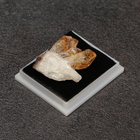 Камень, сувенир "Жеода бежевая", 6 х 6 х 4см - Фото 2