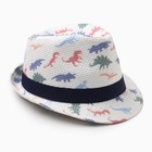 Шляпа для мальчиков "Динозаврики" MINAKU, р-р 52-54, цв. белый - фото 26406565