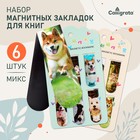 Набор магнитных закладок для книг Calligrata «Собачки», 6 штук, МИКС - Фото 1