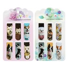 Набор магнитных закладок для книг Calligrata «Собачки», 6 штук, МИКС - Фото 2