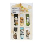 Набор магнитных закладок для книг Calligrata «Собачки», 6 штук, МИКС - Фото 13