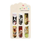 Набор магнитных закладок для книг Calligrata «Собачки», 6 штук, МИКС - Фото 9