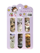 Набор магнитных закладок для книг Calligrata «Котята», 6 штук, МИКС 10200547 - фото 8996441