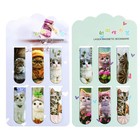 Набор магнитных закладок для книг Calligrata «Котята», 6 штук, МИКС - Фото 3