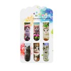 Набор магнитных закладок для книг Calligrata «Котята», 6 штук, МИКС - Фото 9