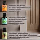 Набор эфирных масел «Лесные ноты» 9 шт. по 17 мл Добропаровъ - Фото 2