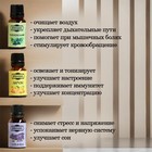 Набор эфирных масел «Лесные ноты» 9 шт. по 17 мл Добропаровъ - Фото 3