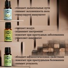 Набор эфирных масел «Лесные ноты» 9 шт. по 17 мл Добропаровъ - Фото 4