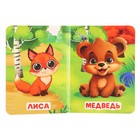 Моя первая книжка «Лесные обитатели» - фото 24688964