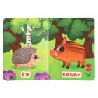 Моя первая книжка «Лесные обитатели» - фото 24688965