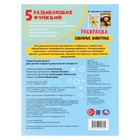 Раскраска «Забавные животные» - фото 23817800