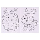 Раскраска «Забавные животные» - фото 23817803