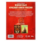 Энциклопедия «Животные Красной книги России. Исчезающие виды» - фото 24665092