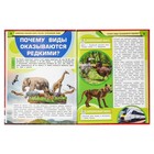 Энциклопедия «Животные Красной книги России. Исчезающие виды» - фото 24665094