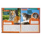 Энциклопедия «Животные Красной книги России. Исчезающие виды» - фото 24665095