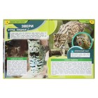 Энциклопедия "Животные. Редкие хищники" 370597 10367794