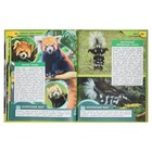 Энциклопедия "Животные. Редкие хищники" 370597 10367794