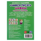 Прописи с заданиями. Цифры и решаем примеры. Учимся писать. 370583 10367827