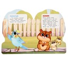 Книжка с глазками «Мои друзья», Дружинина М. В. 10367862