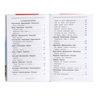 Внеклассное чтение «Моя родина Россия» - фото 24689102