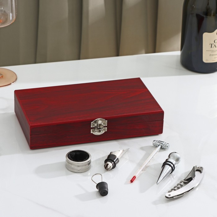 Набор для вина в кейсе Доляна, 5 предметов: пробка, воронка, штопор, кольцо, термометр - фото 8345260