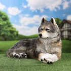 Садовая фигура из полистоуна «Волчица», 43×44×65 см - Фото 10