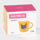 Кружка Доляна «Котик», 350 мл, фарфор, жёлтая - Фото 6