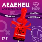 Леденец «Не для тебя», 17 г. (18+) 10166294 - фото 12496425