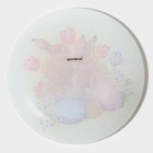 Десертная тарелка Доляна «Акварель», d=20 см, стекло, прозрачная - Фото 4