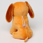 Мягкая игрушка «Собака», 19 см, цвет светло-коричневый - Фото 3