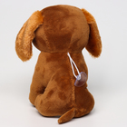 Мягкая игрушка «Собака», 19 см, цвет тёмно-коричневый - Фото 3
