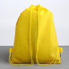 Мешок для обуви «Аниме» (полиэстер) 41×30 см - Фото 6