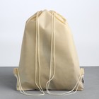 Мешок для обуви «Милашка» (полиэстер) 41×30 см - Фото 6