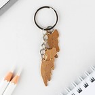 Брелок для ключей «Милые кошки», 2.5×9 см - Фото 5