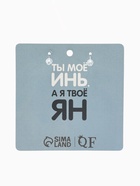 Серьги акриловые «Инь-ян» котики, цвет чёрно-белый - Фото 6