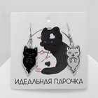 Серьги акрил «Котики» духи, цвет чёрно-белый - фото 321183564