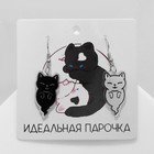 Серьги акриловые «Котики» духи, цвет чёрно-белый - Фото 1
