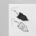 Серьги акриловые «Котики» духи, цвет чёрно-белый - Фото 2